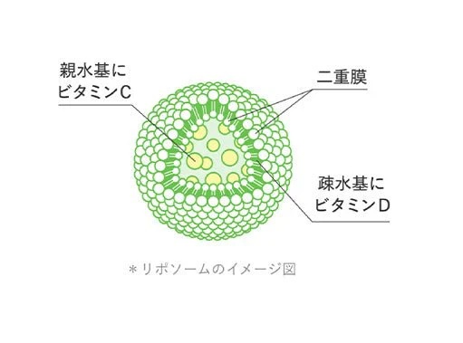 リポソームのイメージ図