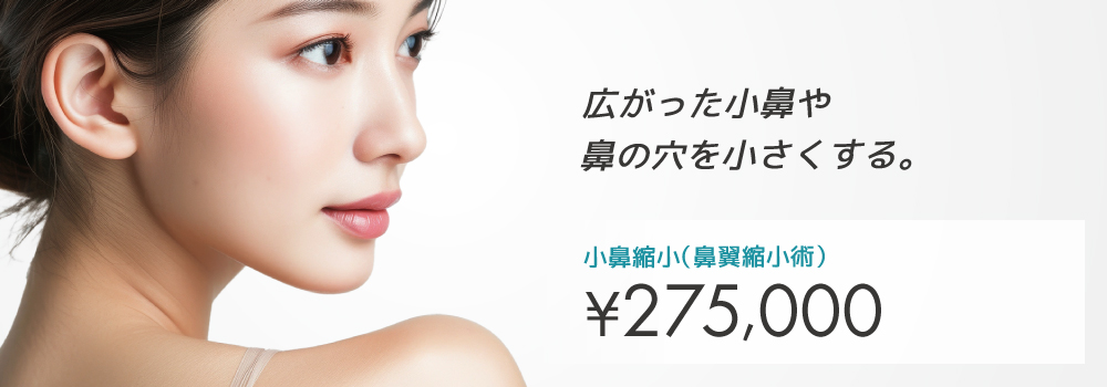 小鼻縮小