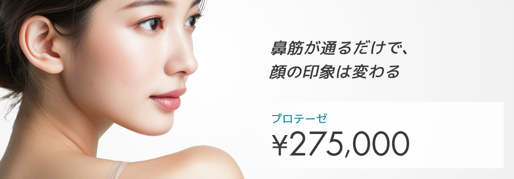 隆鼻術（プロテーゼ）