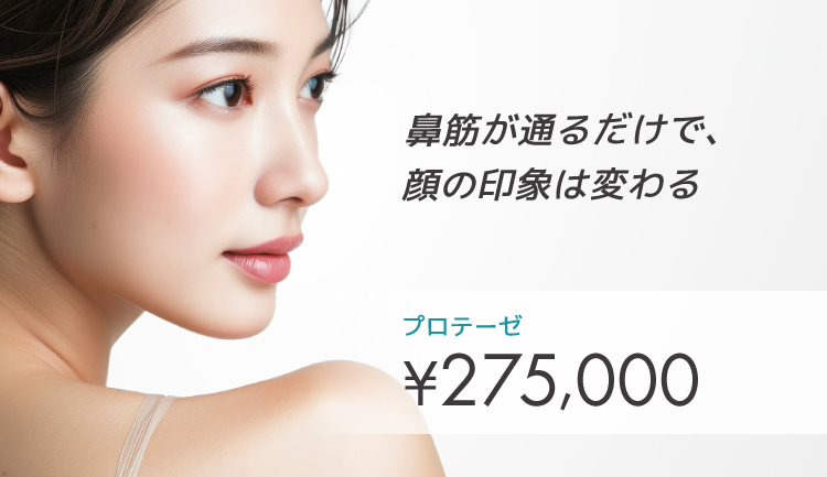 隆鼻術（プロテーゼ）