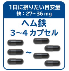 MSS DUO ヘム鉄（ヘム鉄＆乳酸菌鉄） | 宮崎県の美容外科 医療法人 美輝会 みやざき美容クリニック