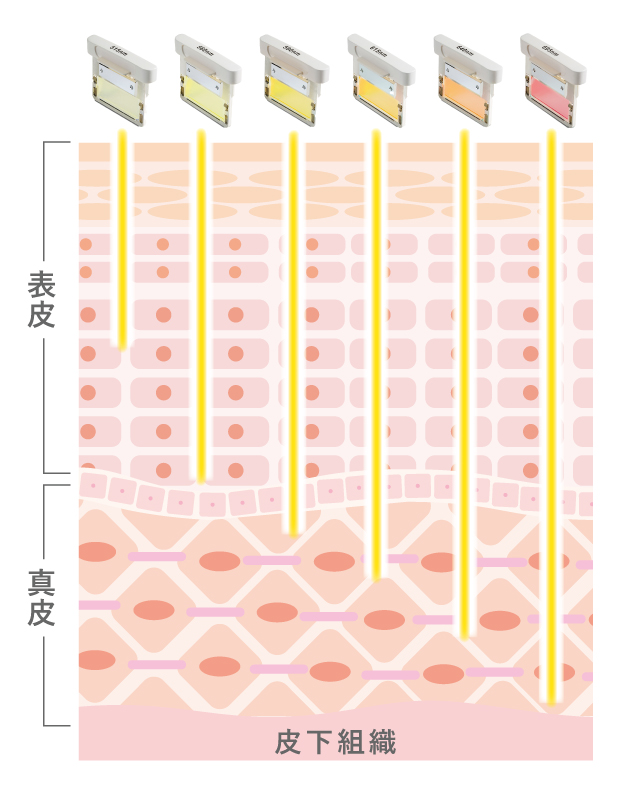 6種類の波長フィルター