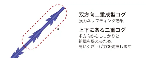 非加熱処理の方式で作られたコグ