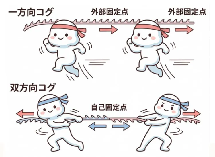 一方向+双方向のマルチコグ構造